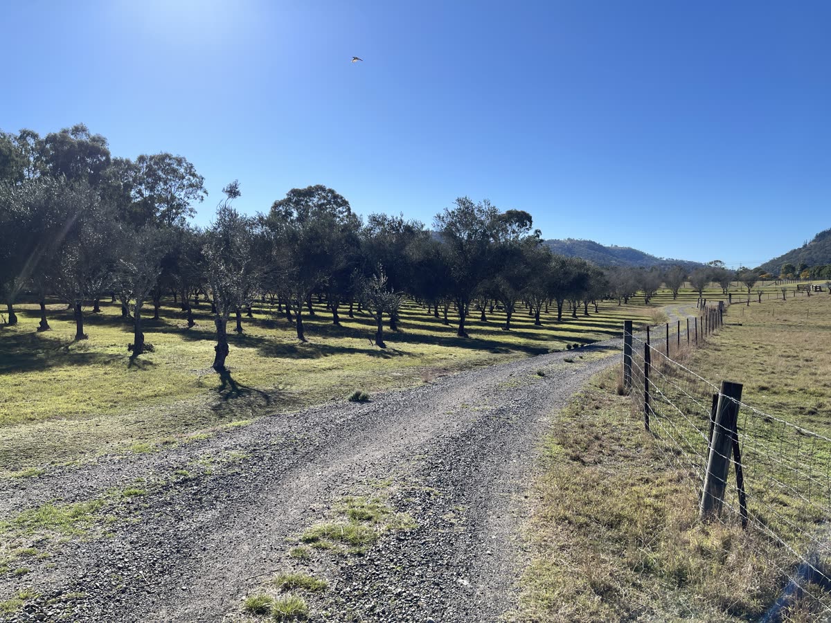 Gravel farm track at Misty Hills Estate leading toward the hills
